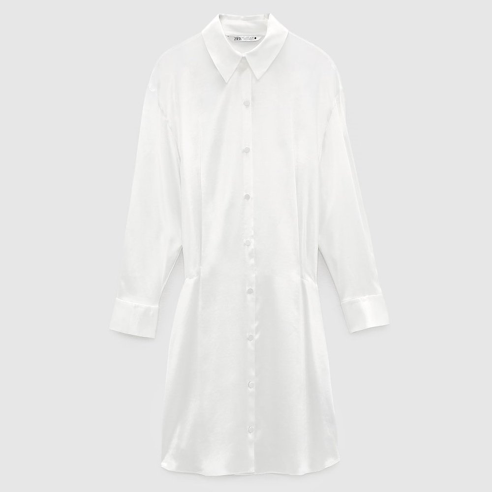 Zara dress